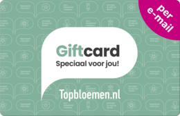 Topbloemen Cadeaukaart digitale cadeaubon
