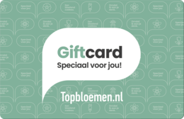 Topbloemen Cadeaukaart 
